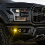 Load image into Gallery viewer, Baja Designs Ford F-150 Raptor (&#39;17–20) &quot;Stage 1&quot; Light Bundle
